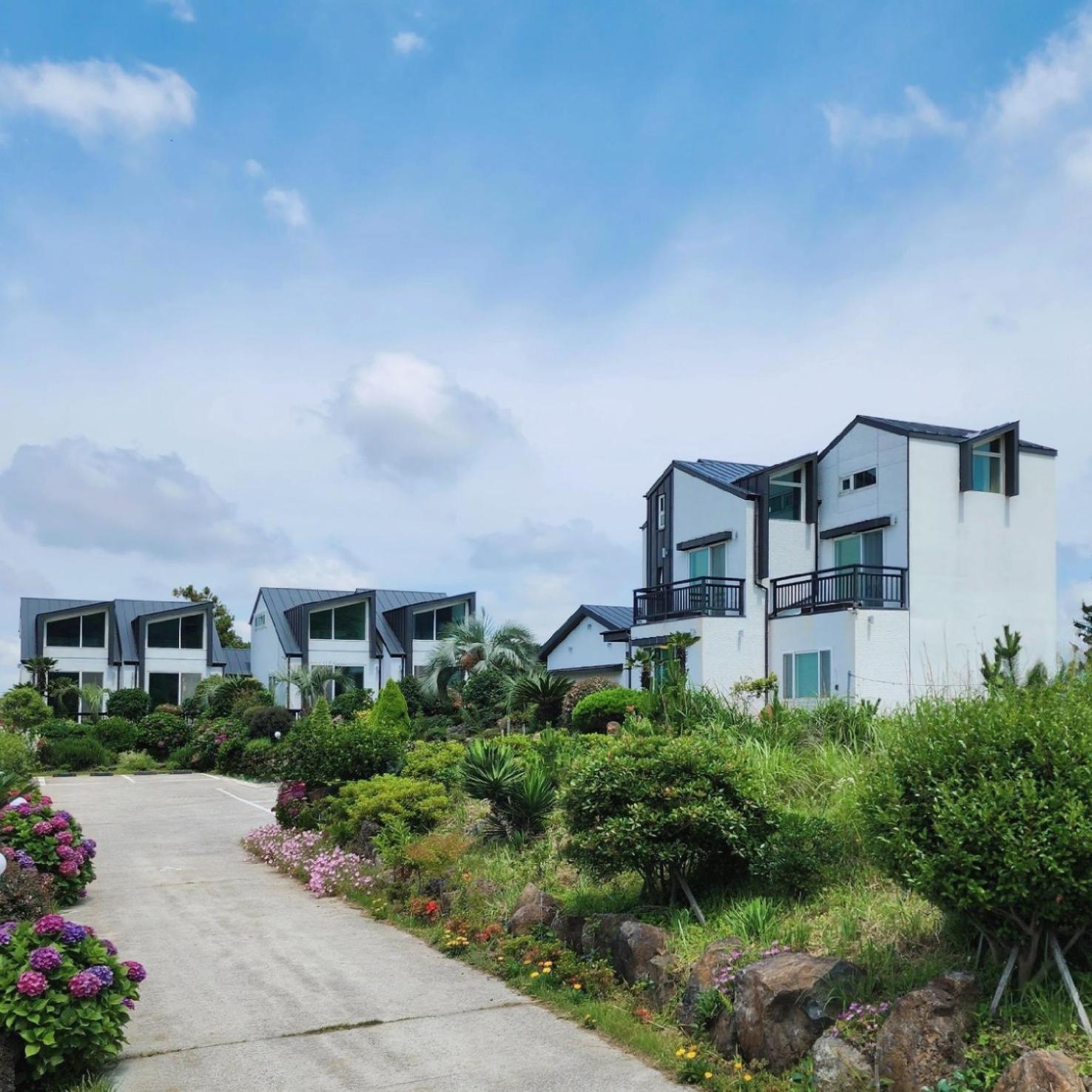 Jeju 542 Pension Seogwipo Exterior foto